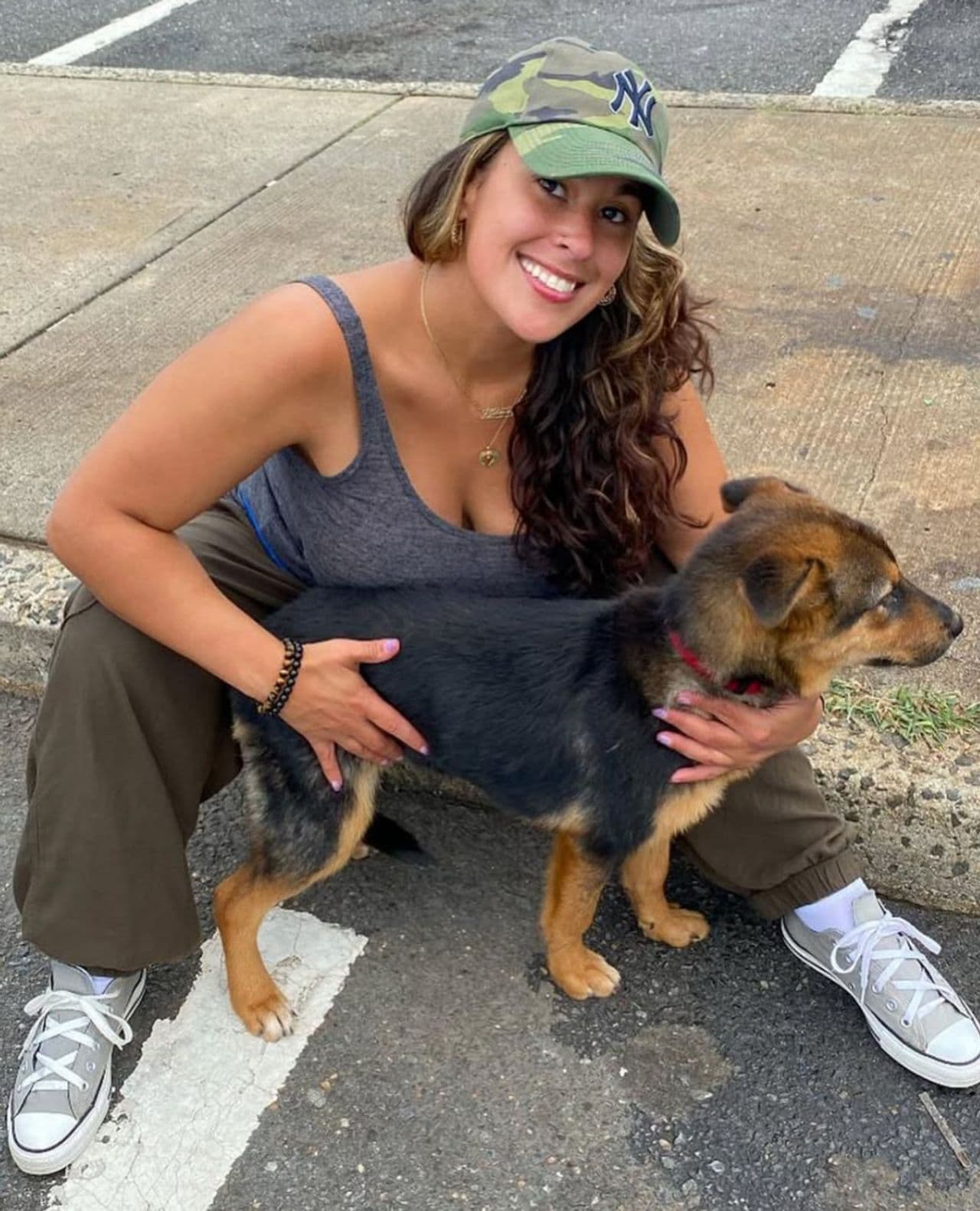 Mother Willow Pet Transport