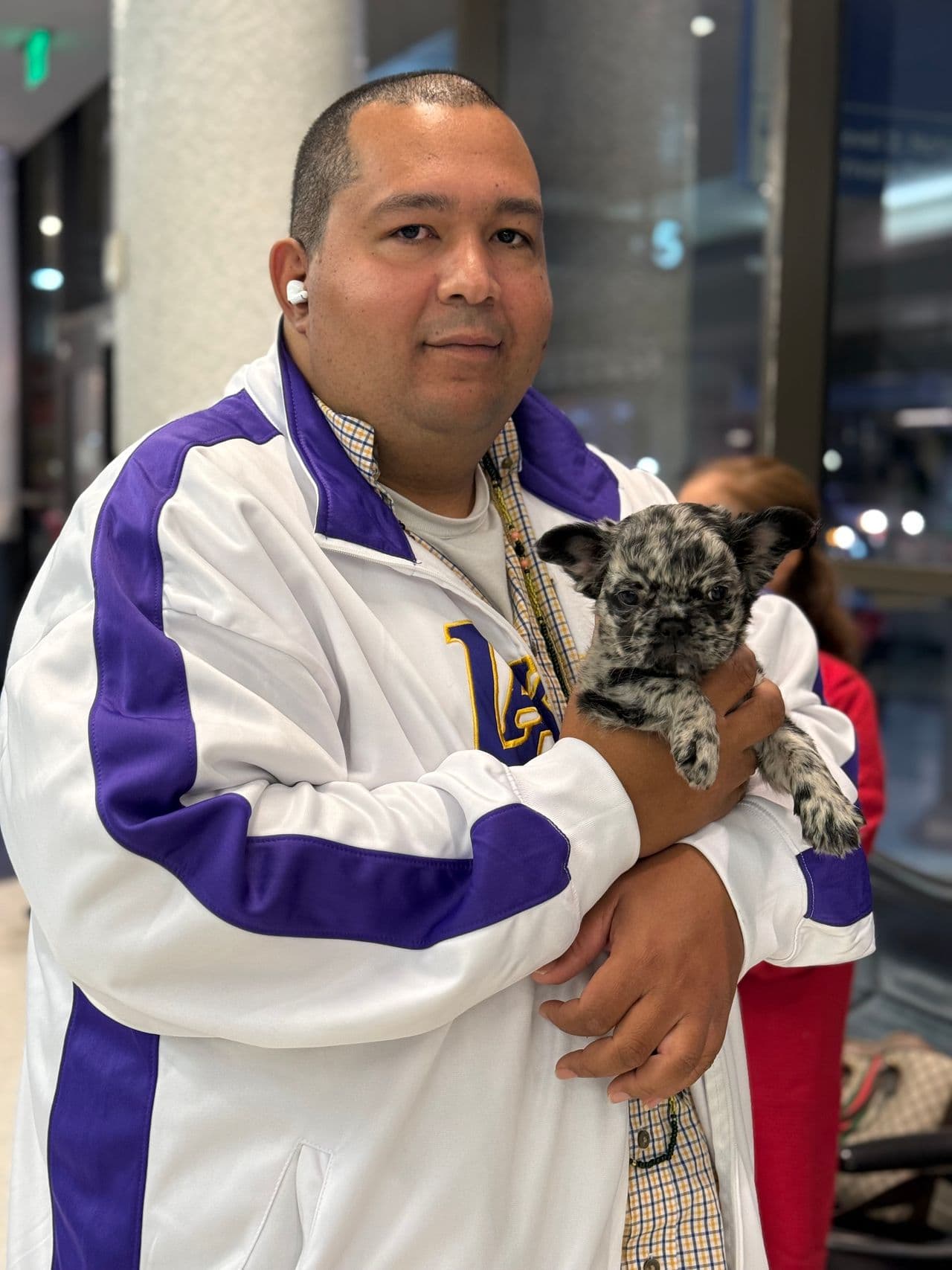 Pet travel photo 4