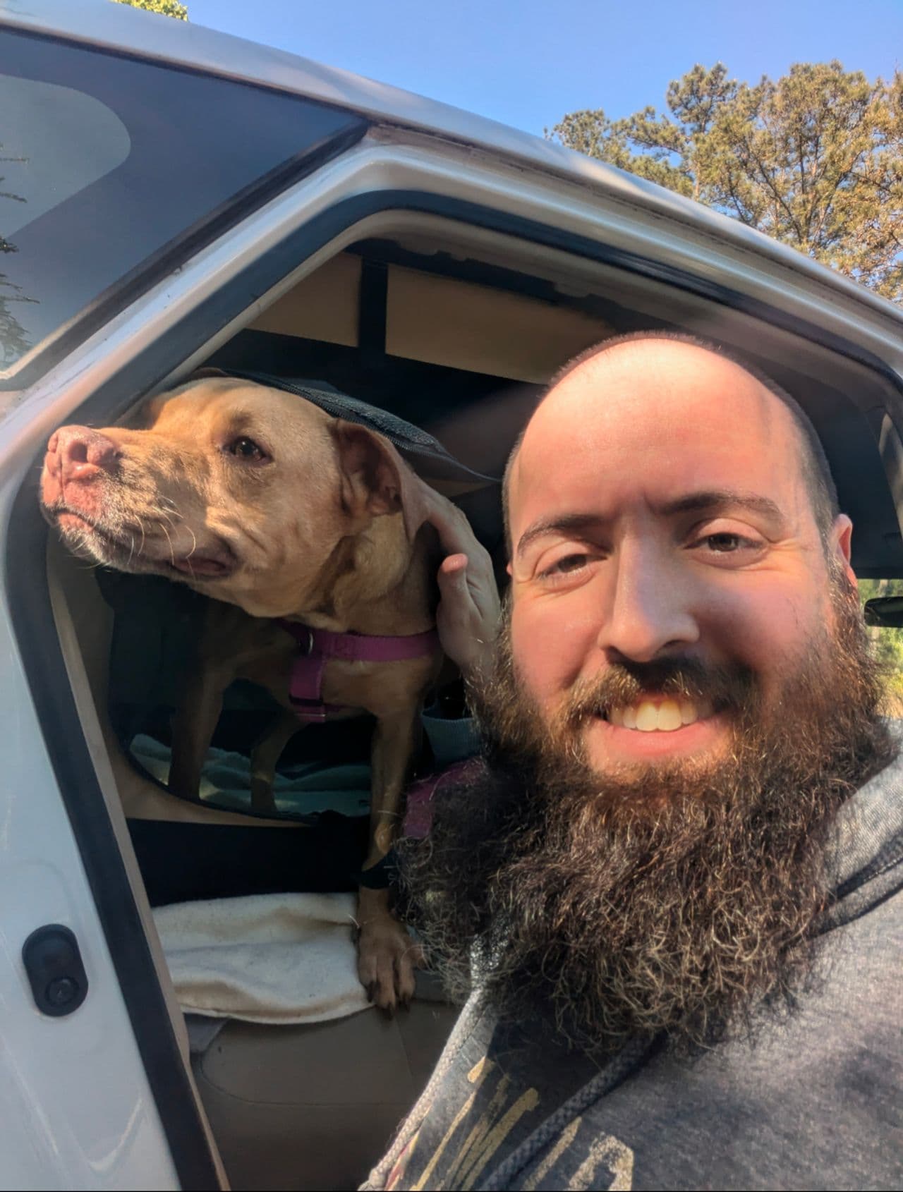 Pet travel photo 6