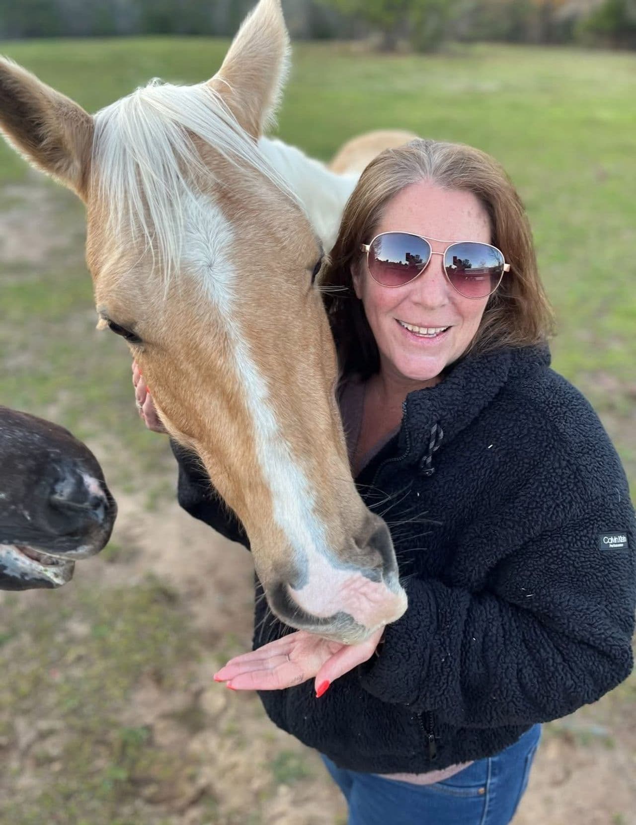 Pet travel photo 3