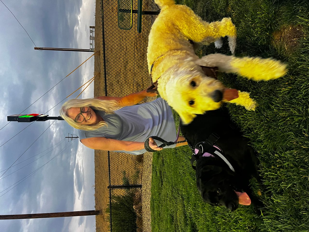 Pet travel photo 1