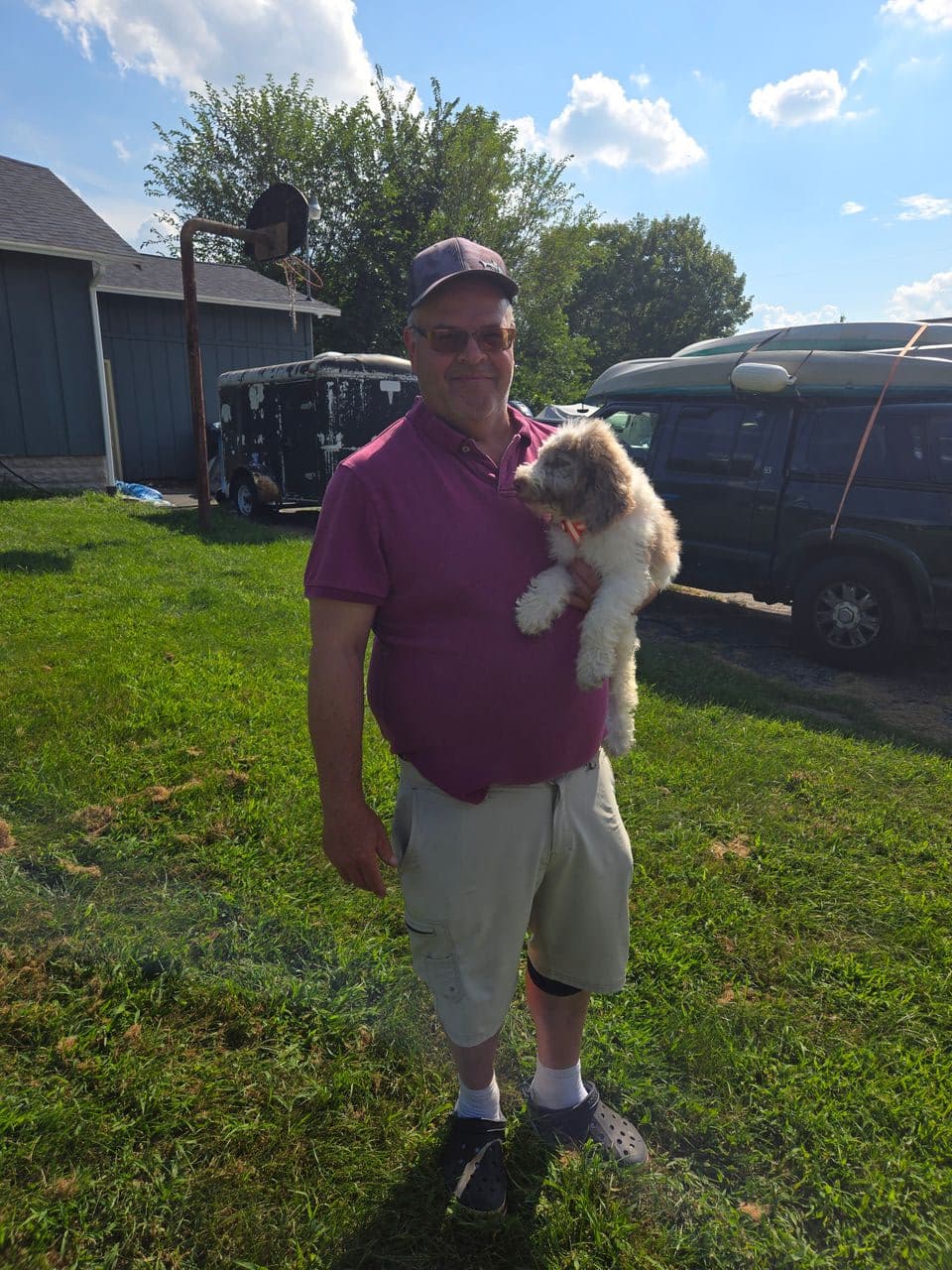Pet travel photo 1