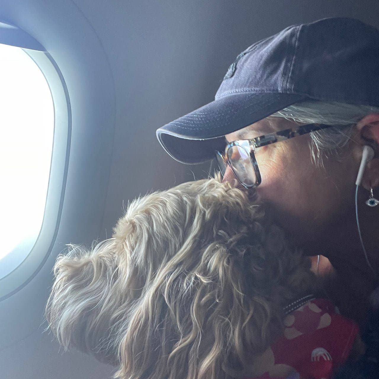 Pet travel photo 5