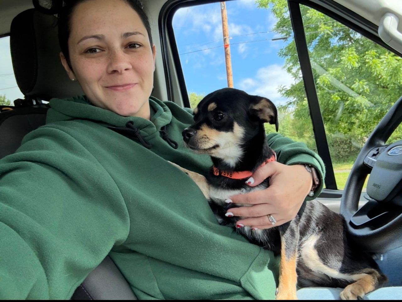 Pet travel photo 1