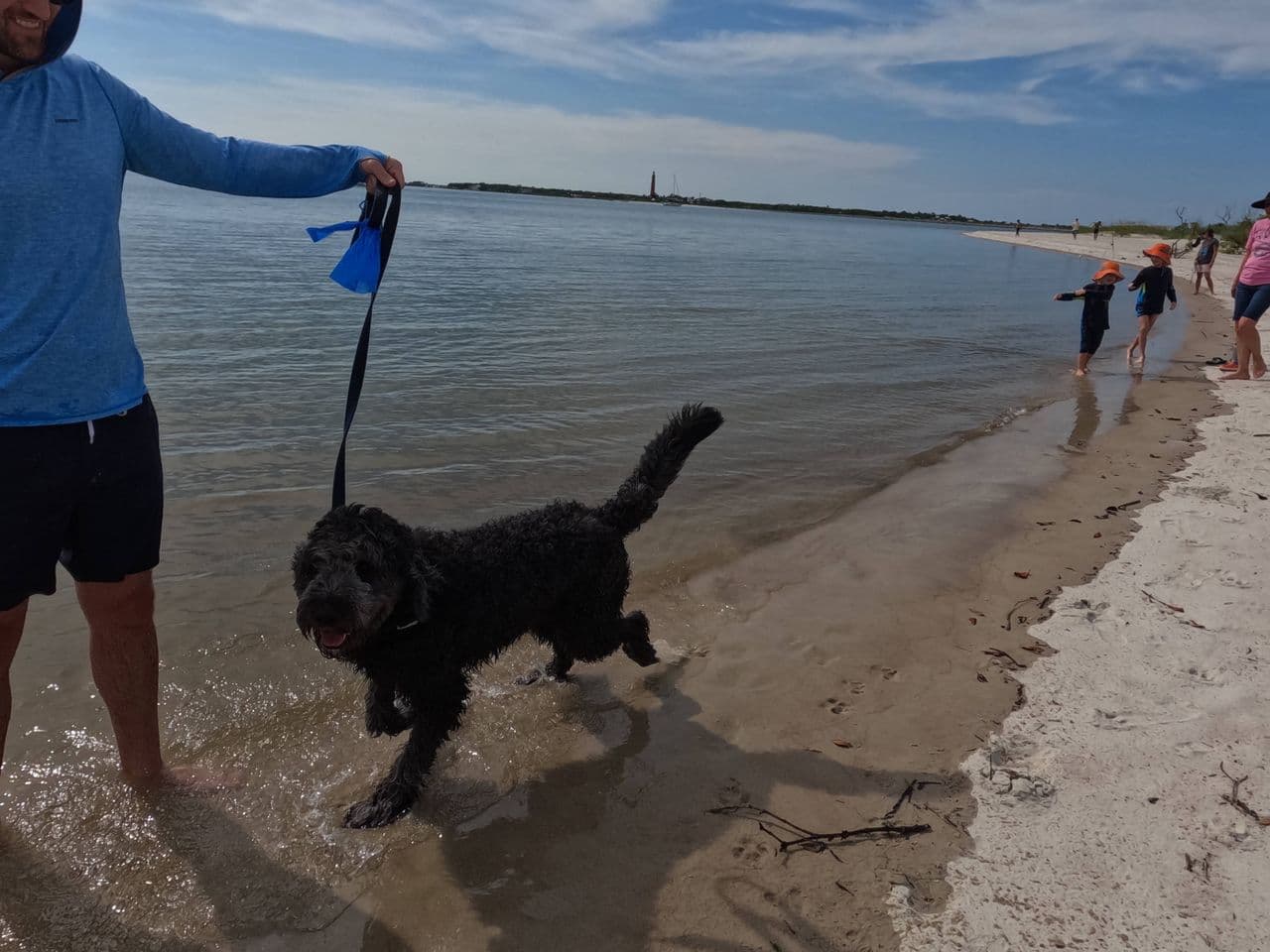 Pet travel photo 1