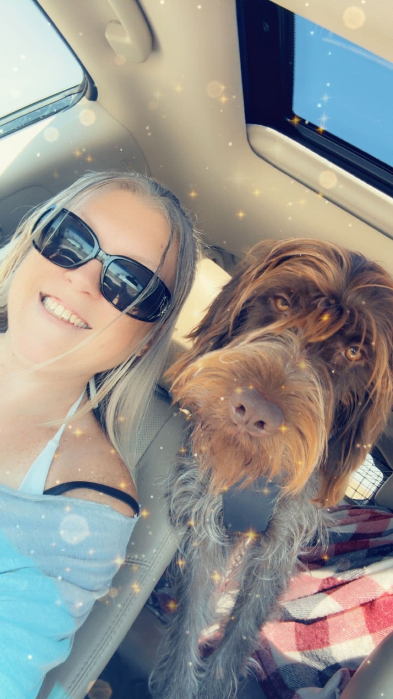 Pet travel photo 2