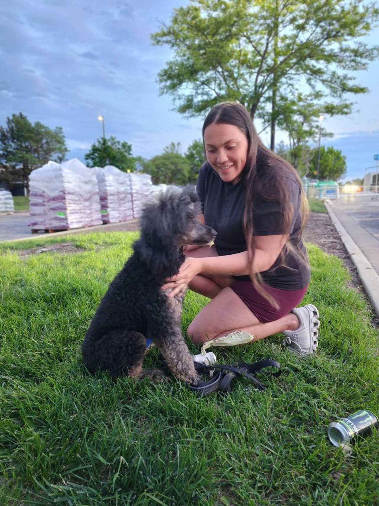 Pet travel photo 4