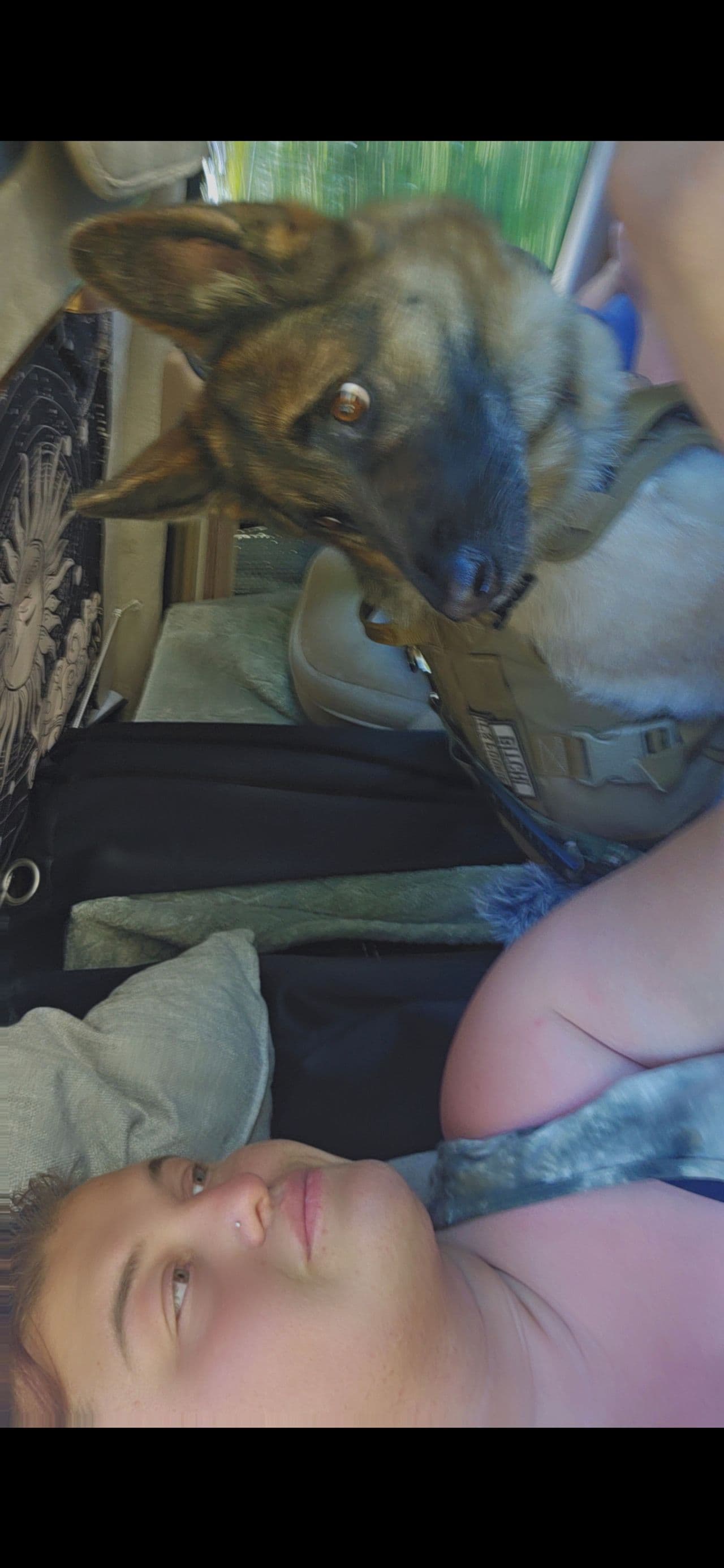 Pet travel photo 4