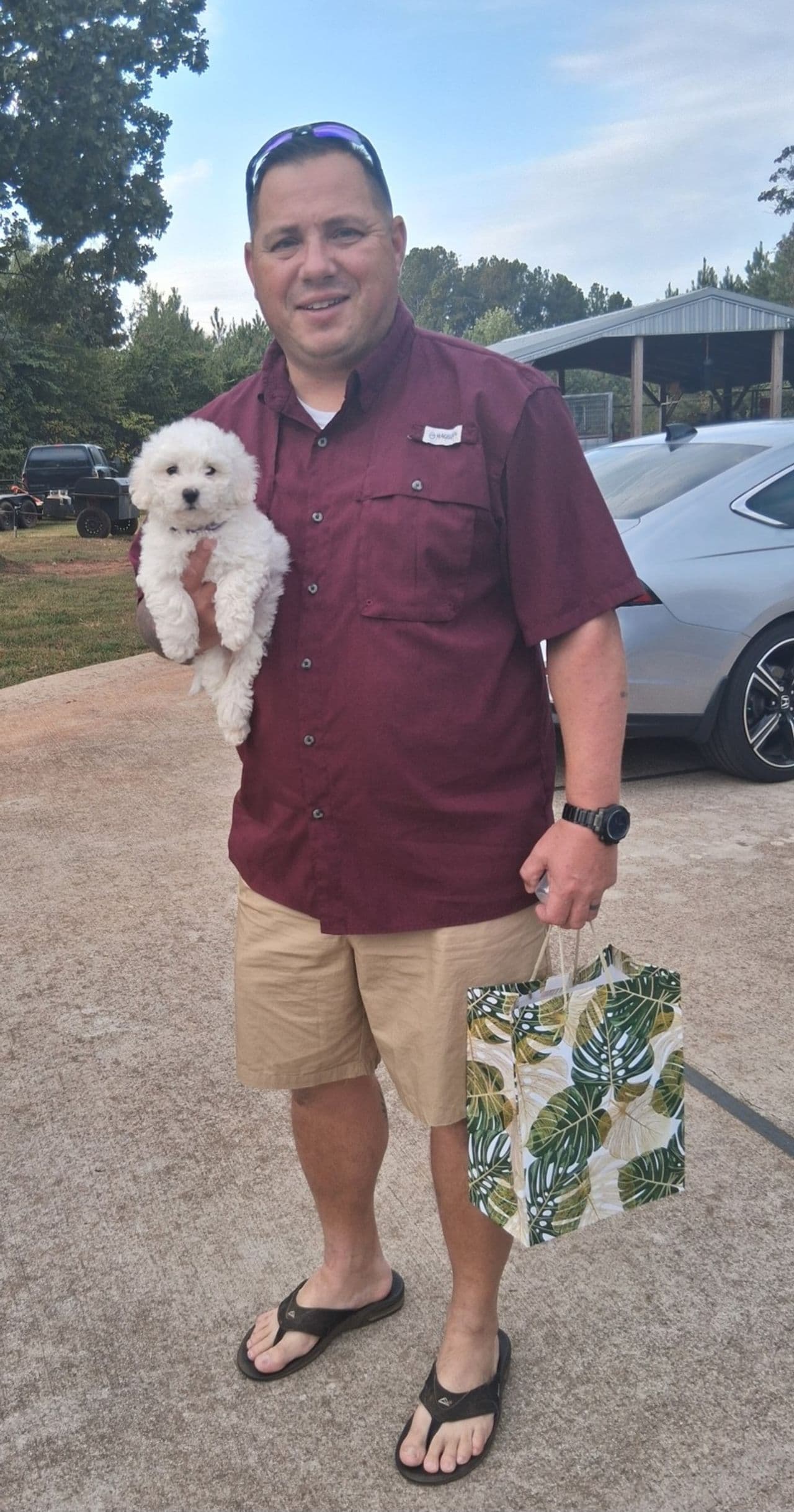 Pet travel photo 4
