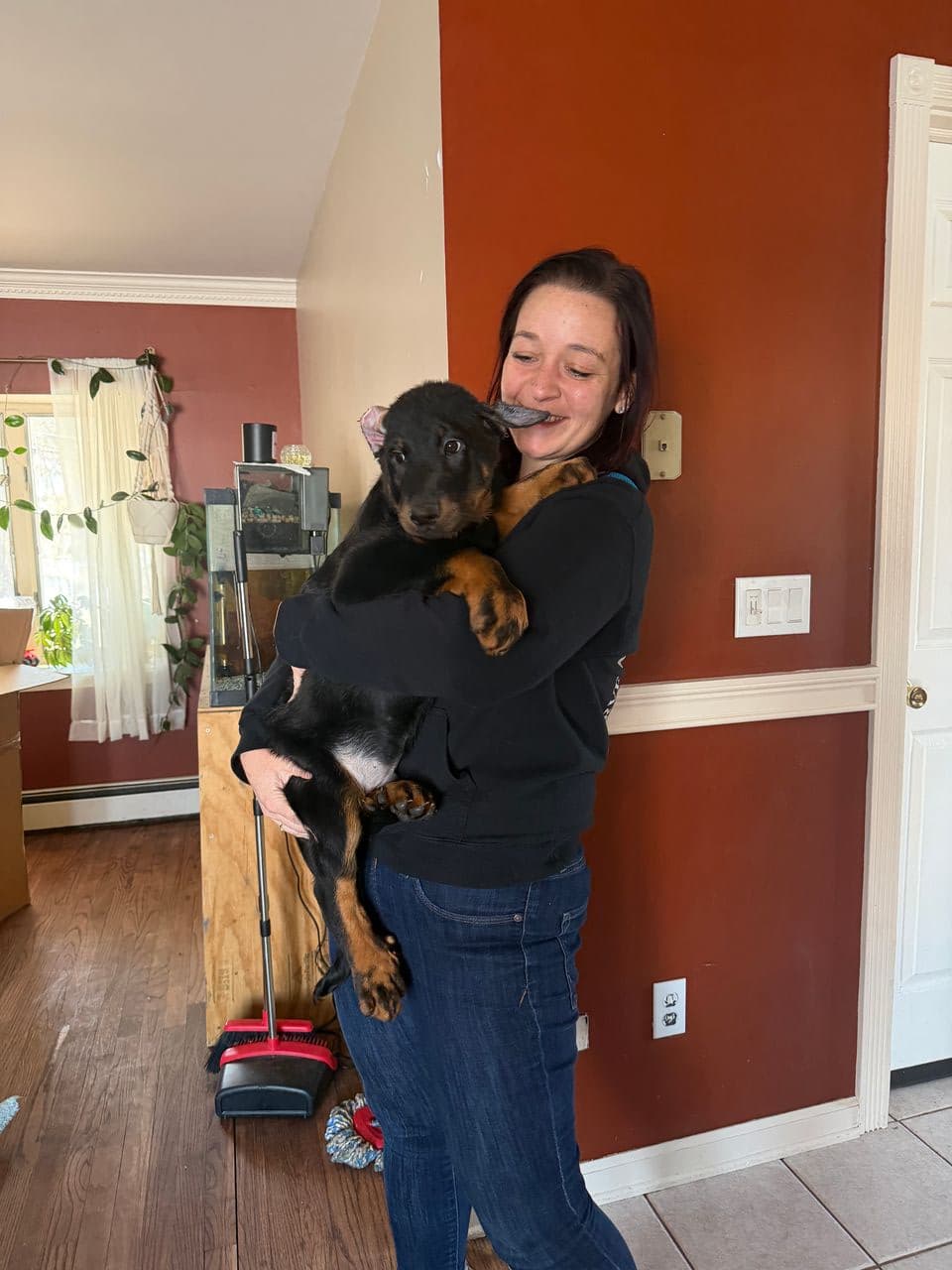 Pet travel photo 6