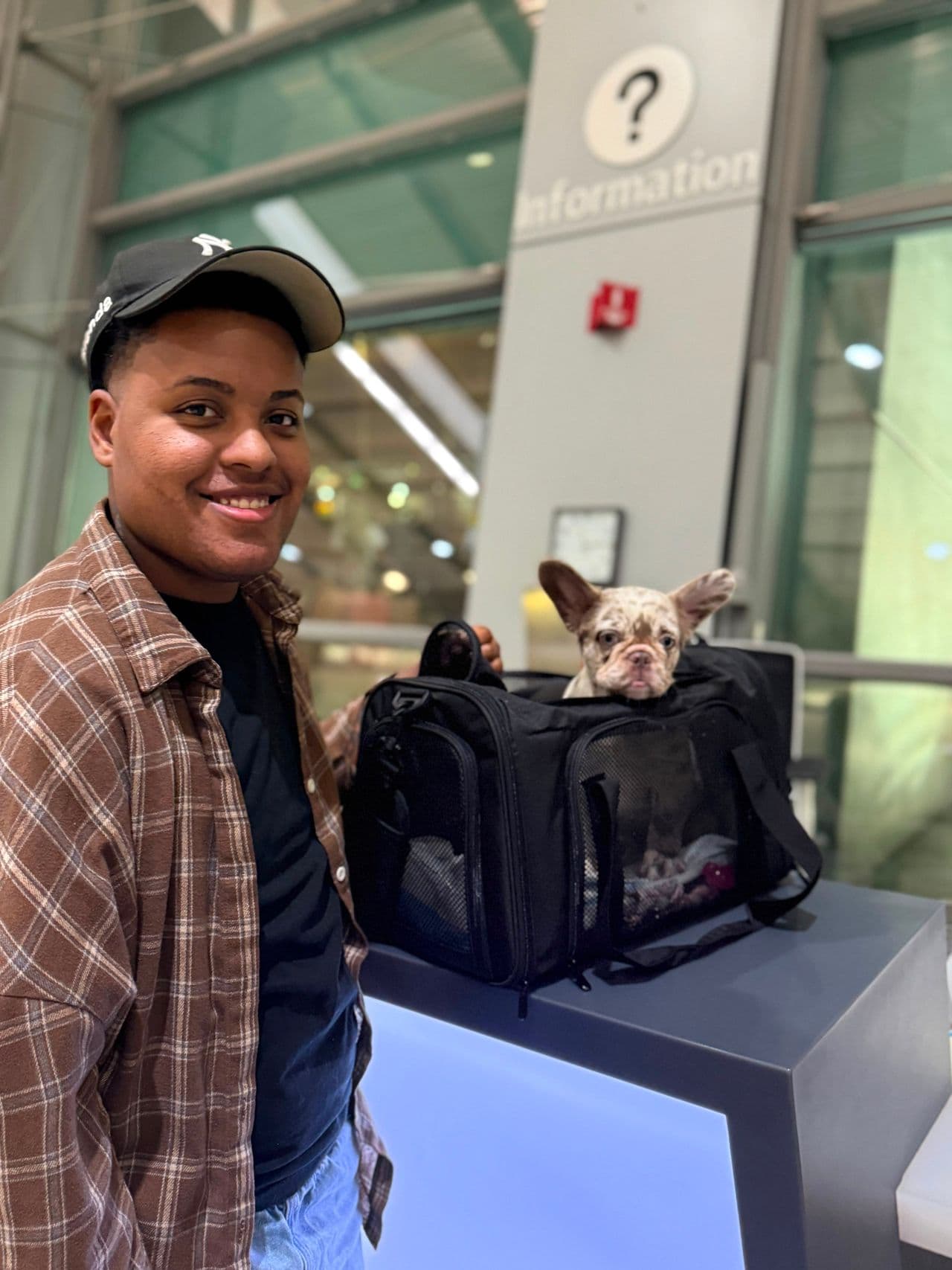 Pet travel photo 4