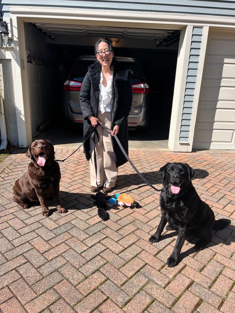 Pet travel photo 2