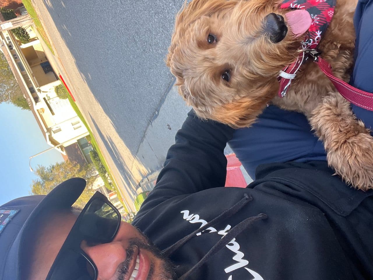 Pet travel photo 5