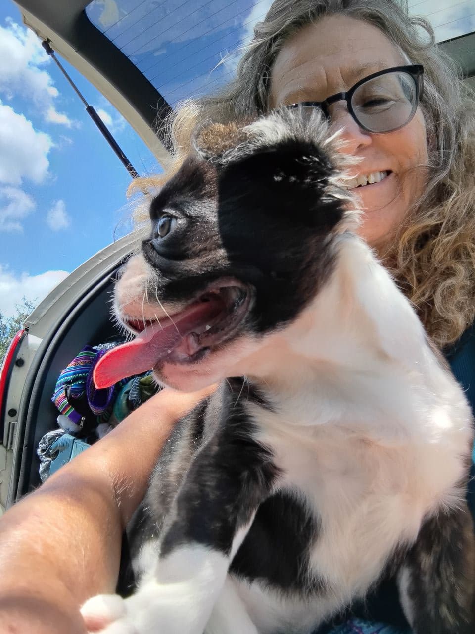 Pet travel photo 6