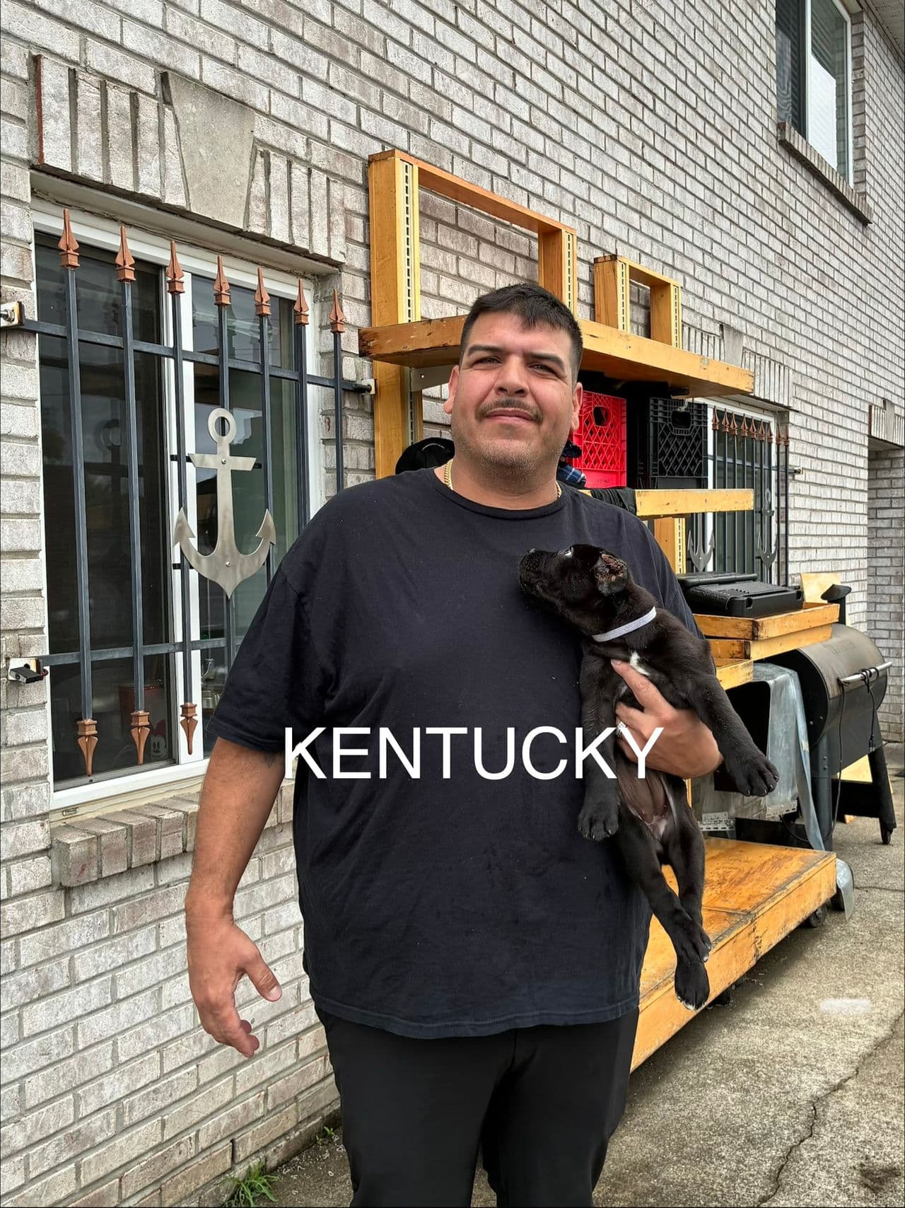 Pet travel photo 6