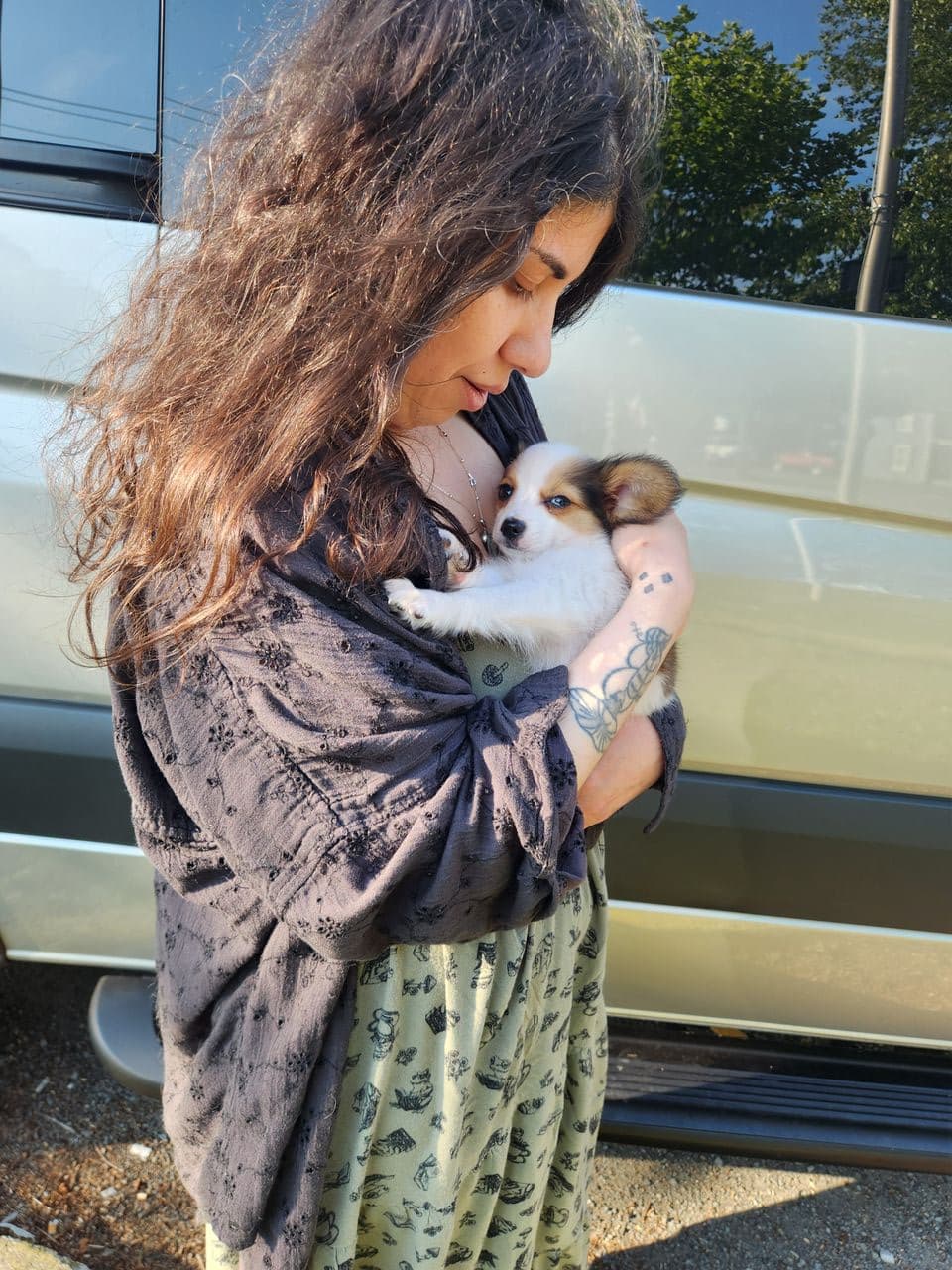 Pet travel photo 1