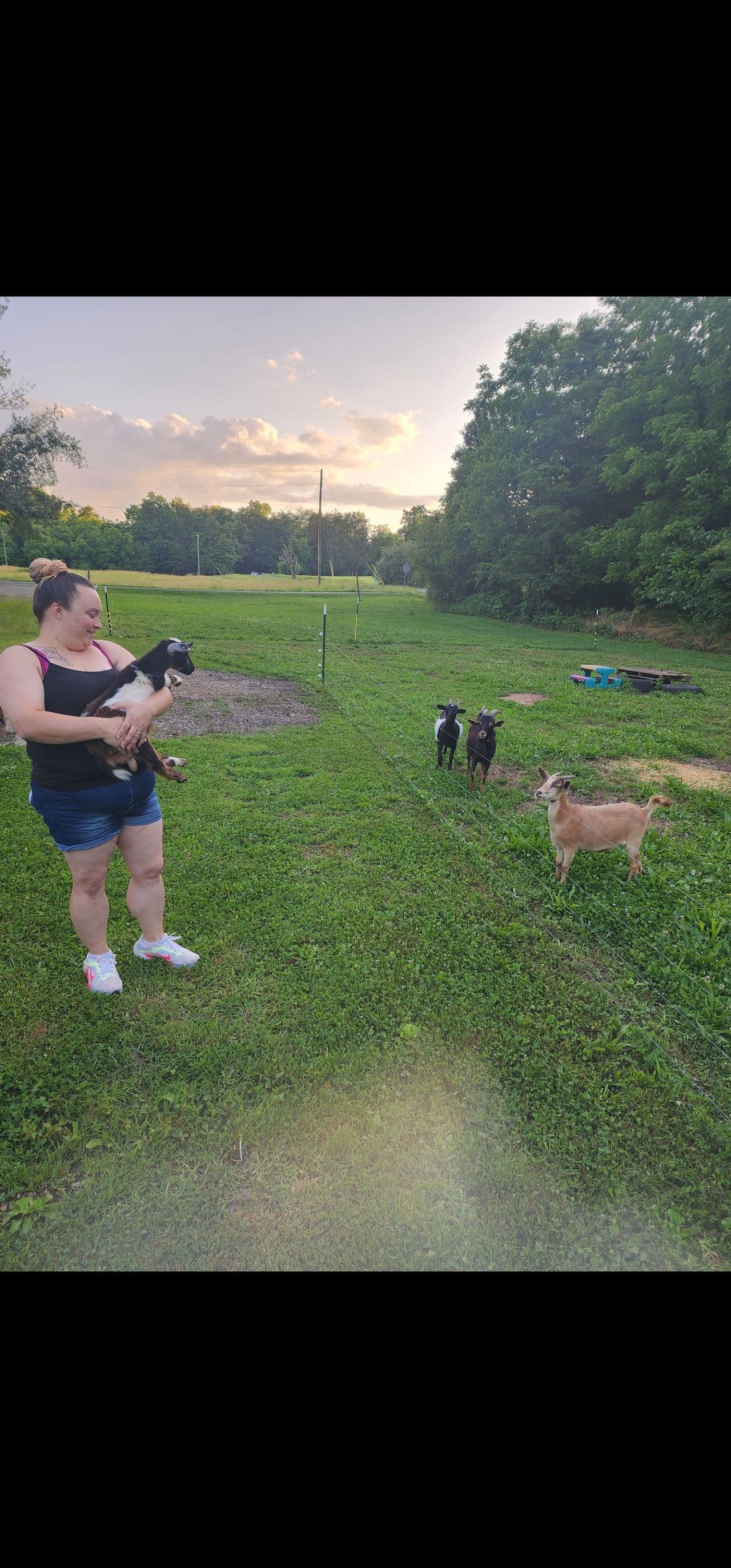 Pet travel photo 6