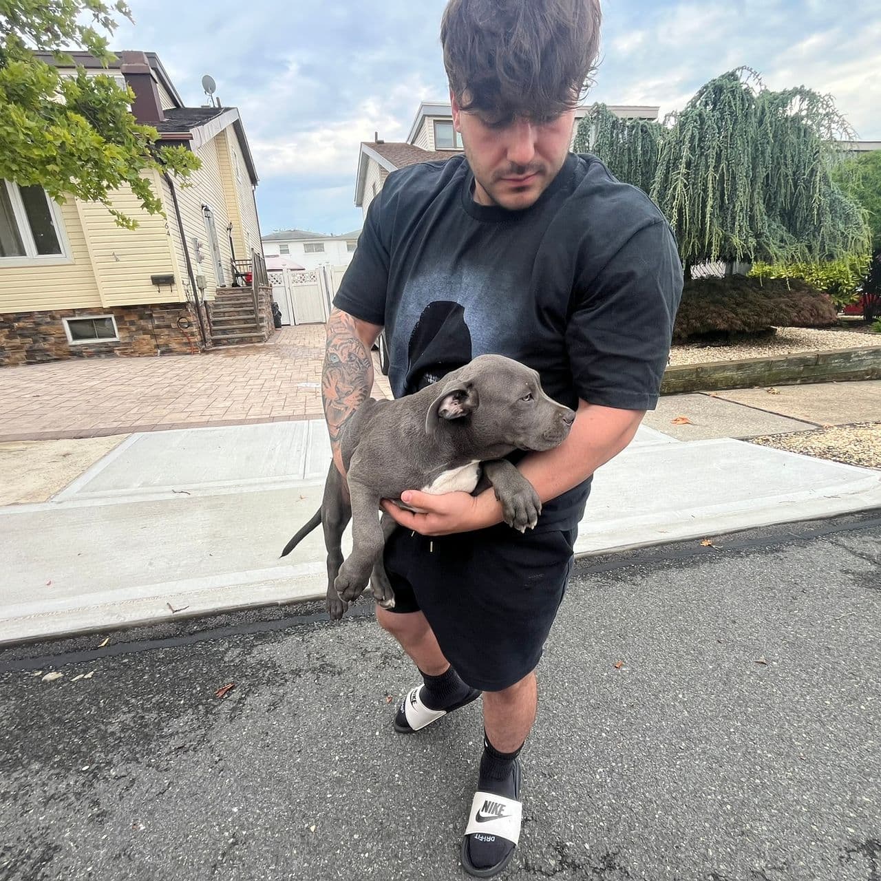 Pet travel photo 1