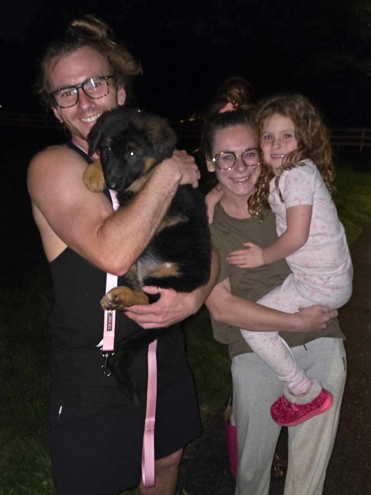 Pet travel photo 1