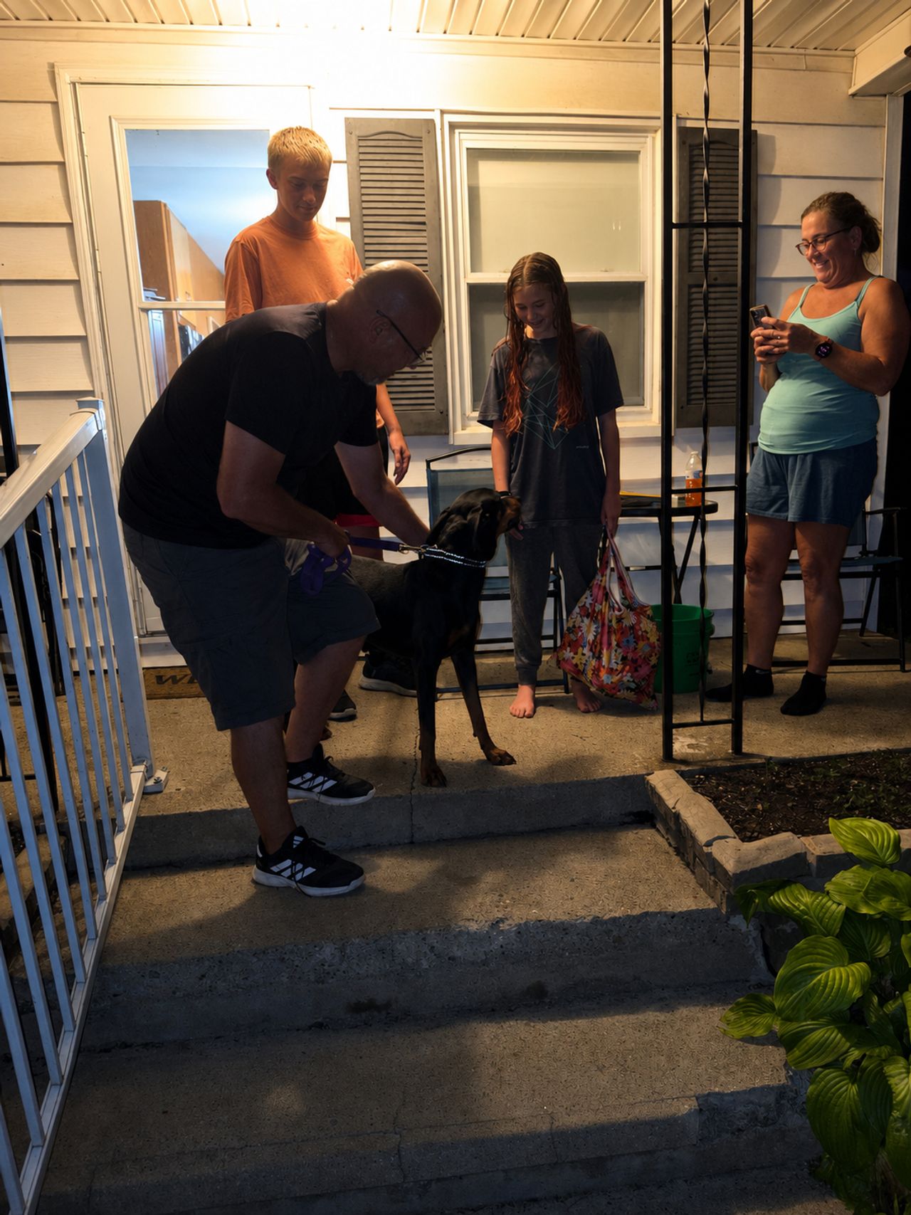 Pet travel photo 2