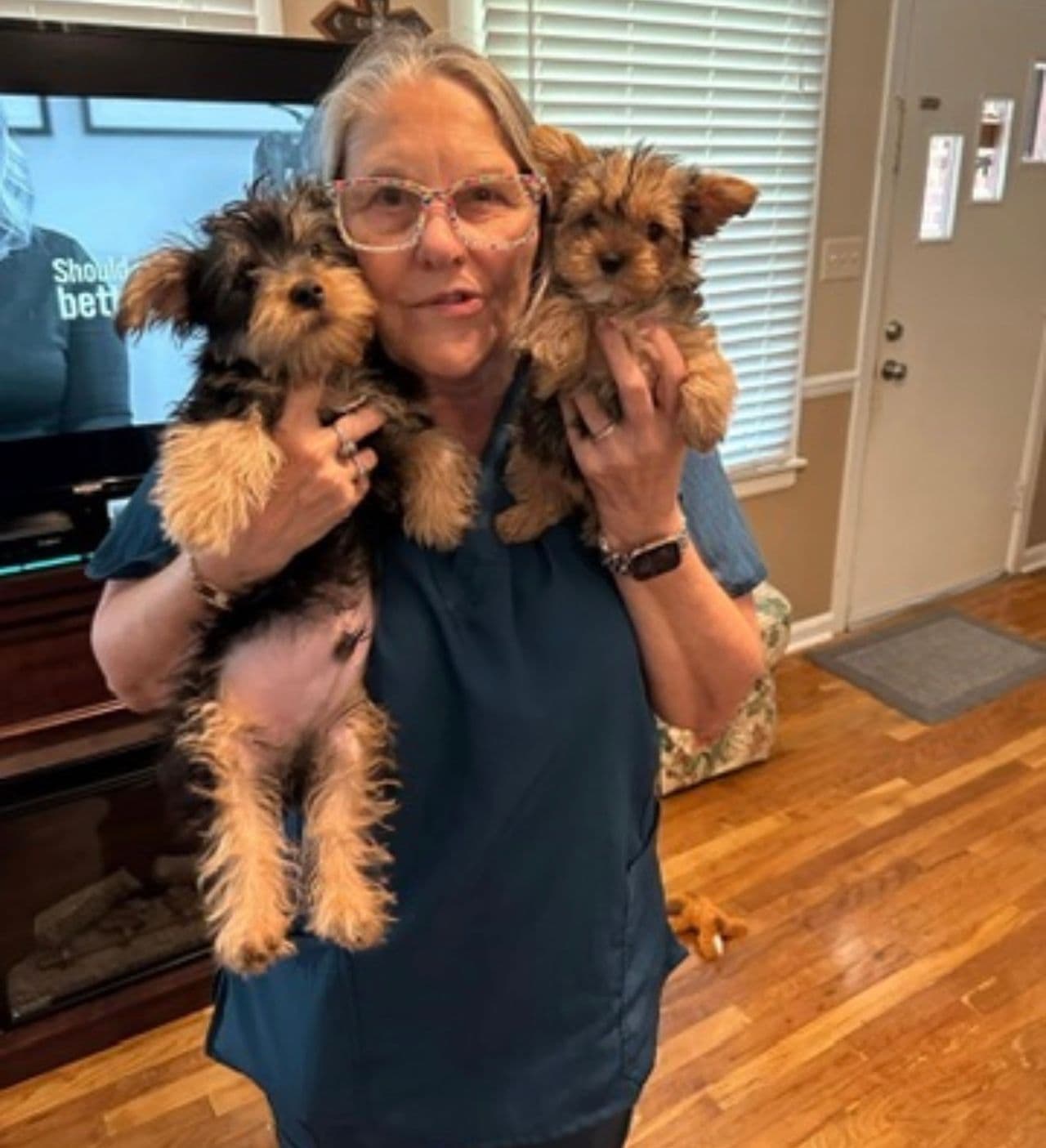 Pet travel photo 4