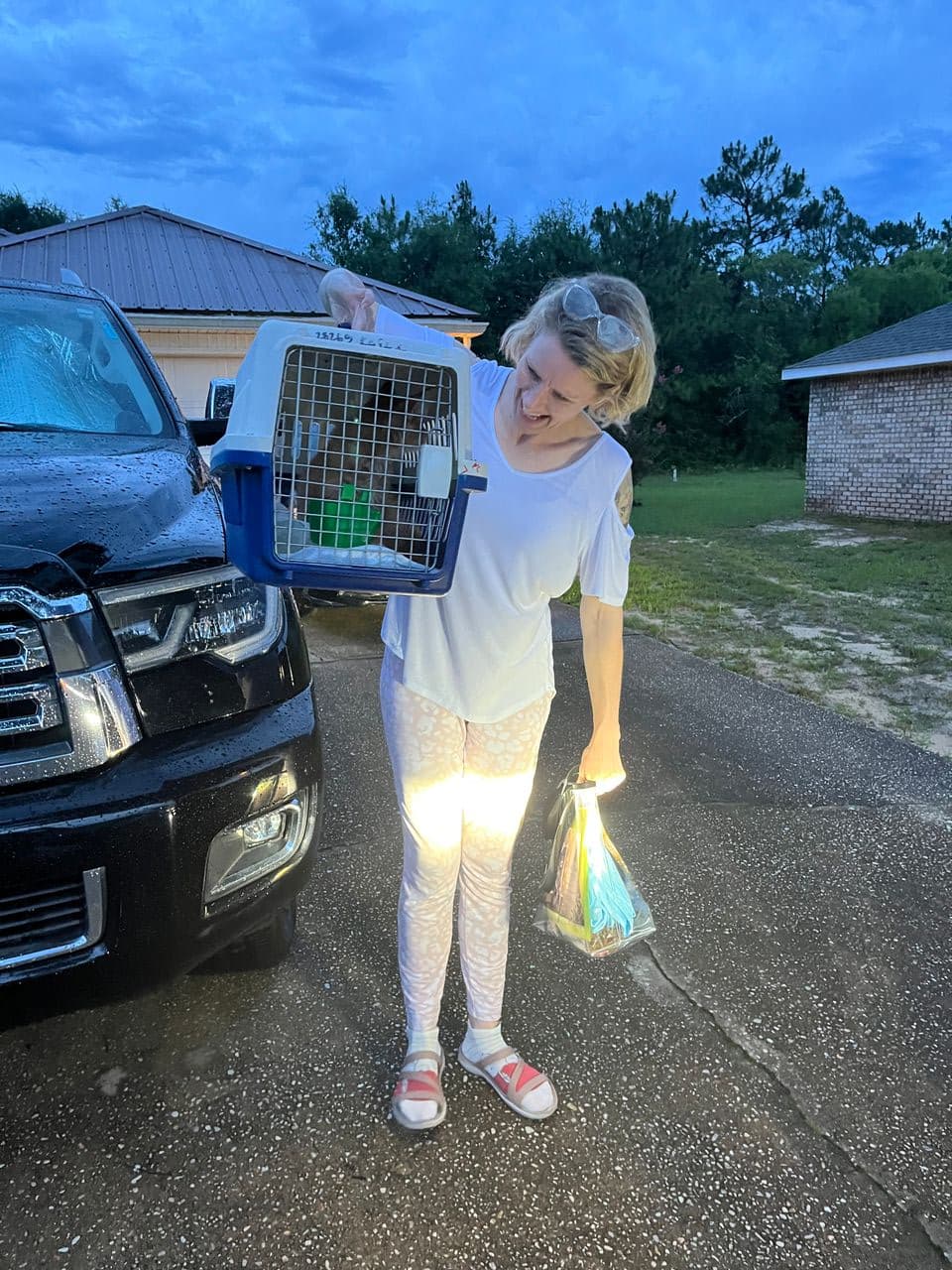 Pet travel photo 4