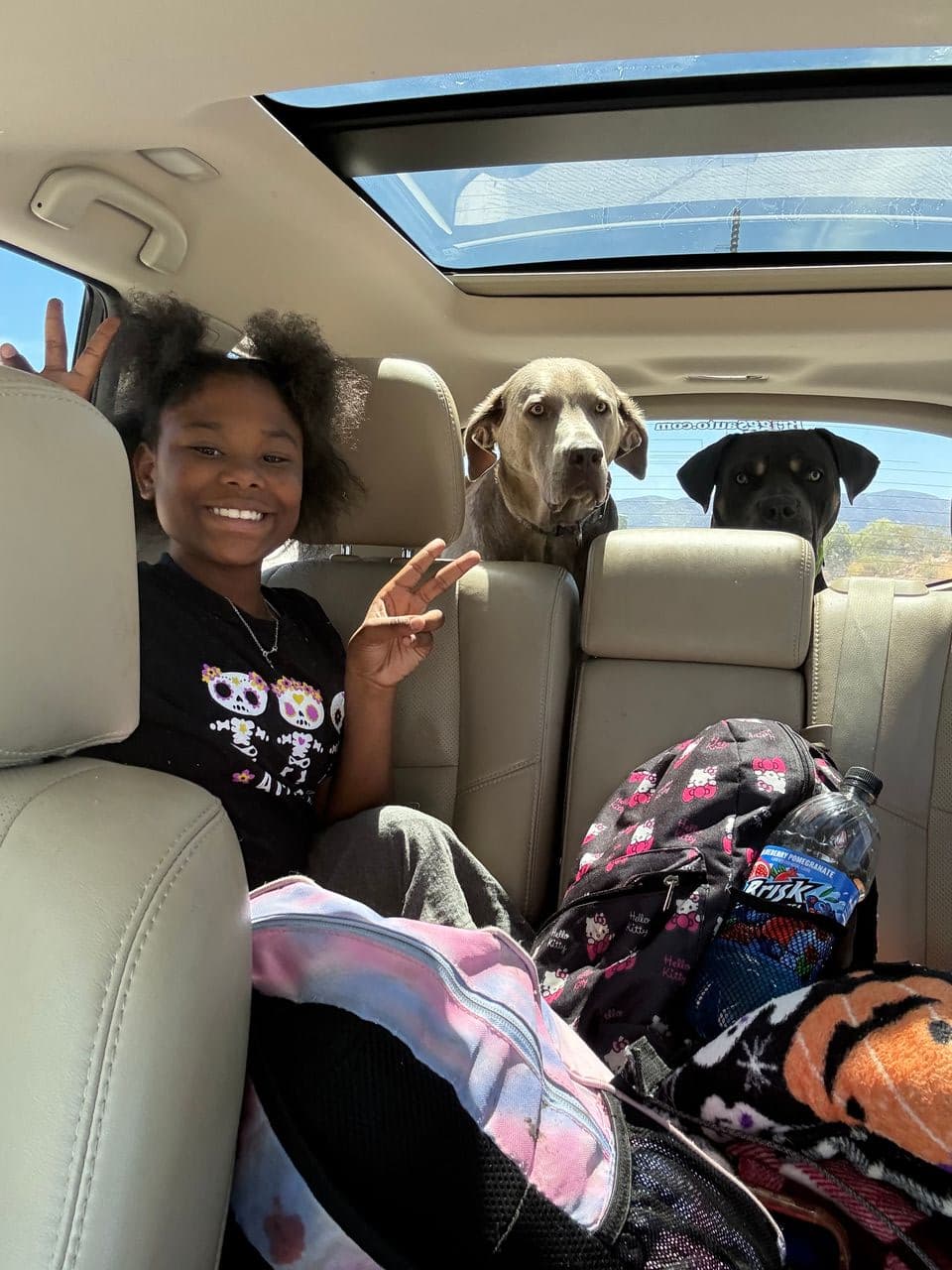 Pet travel photo 6