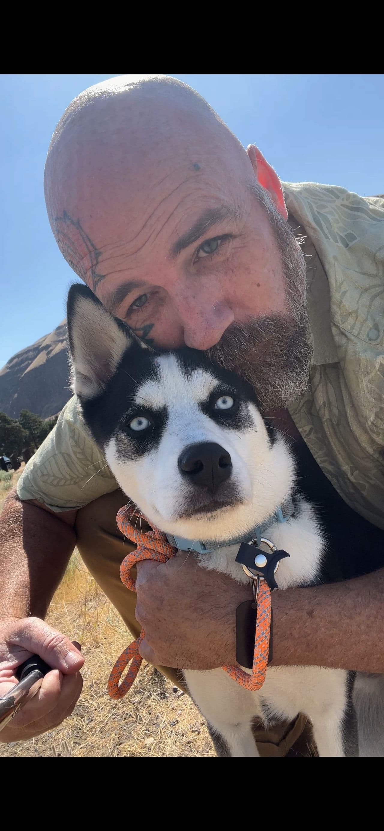 Pet travel photo 4