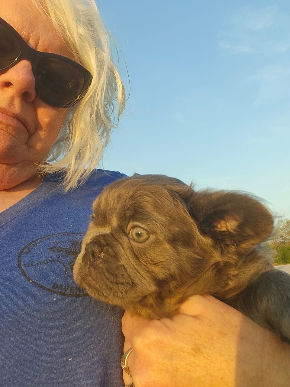Pet travel photo 3
