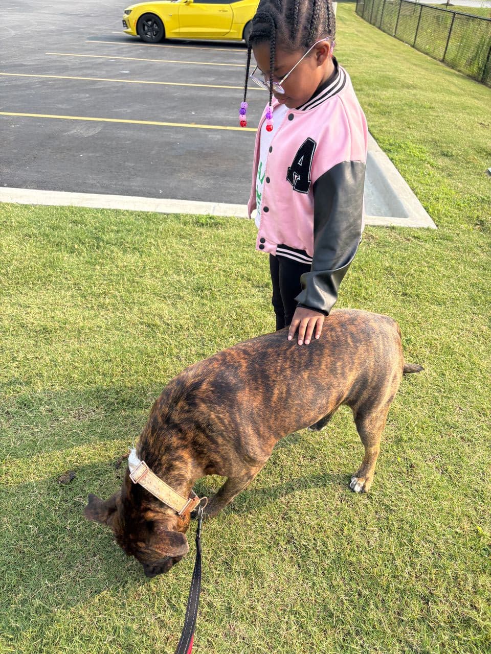 Pet travel photo 1