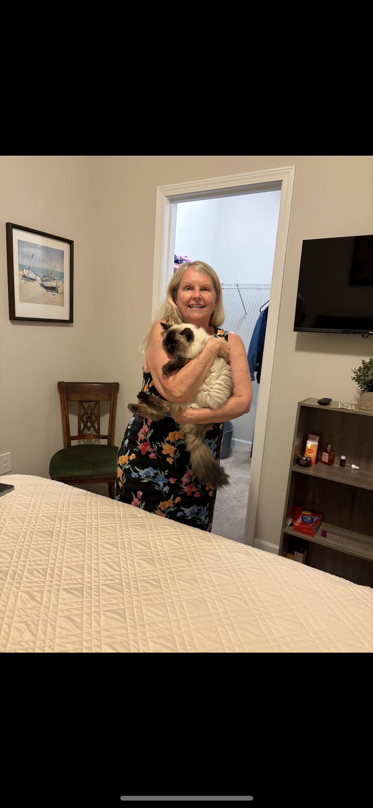 Pet travel photo 1