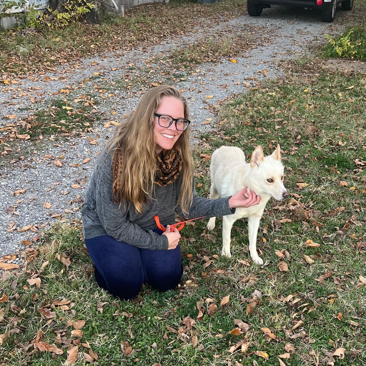 Pet travel photo 1