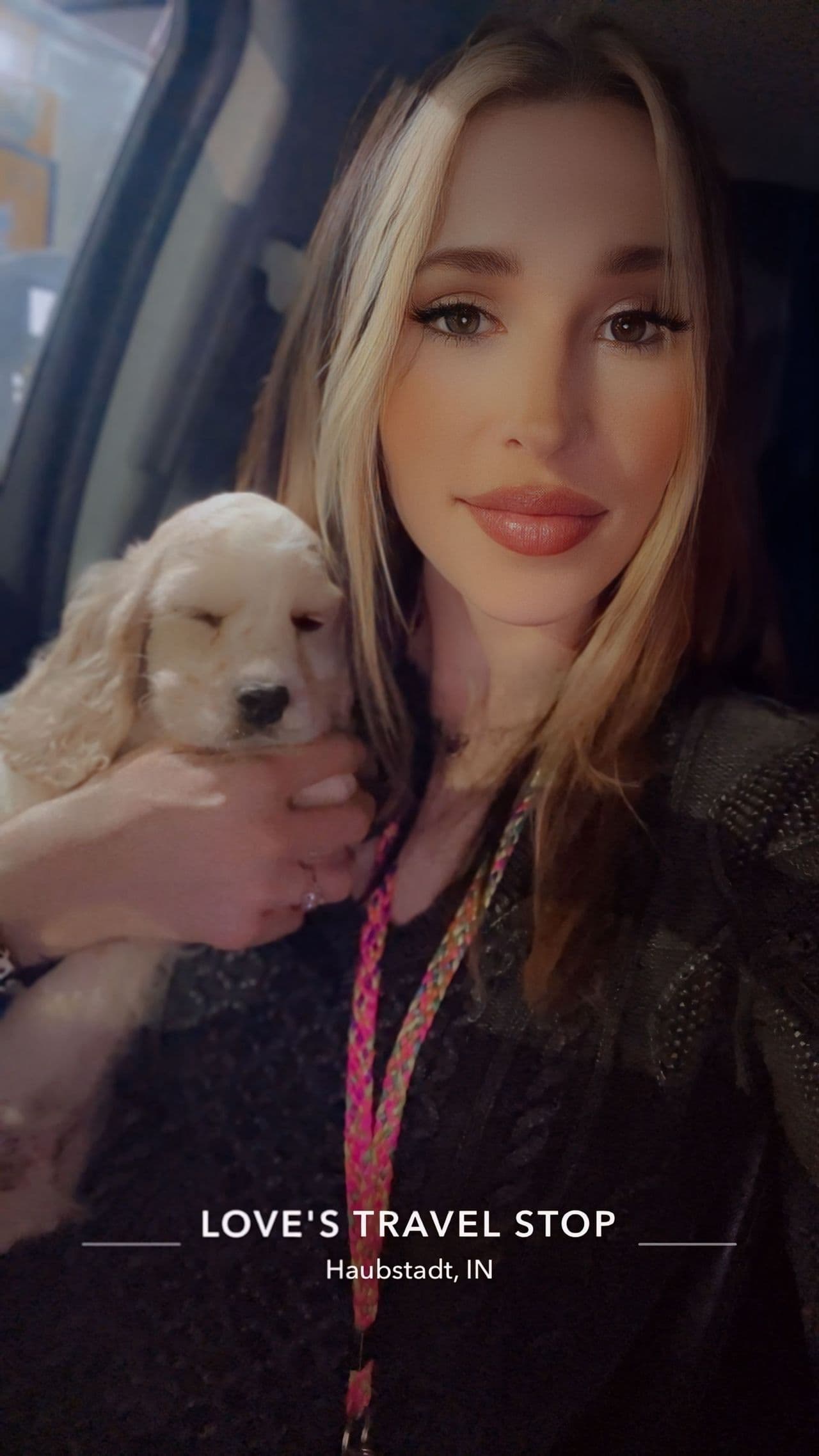 Pet travel photo 6