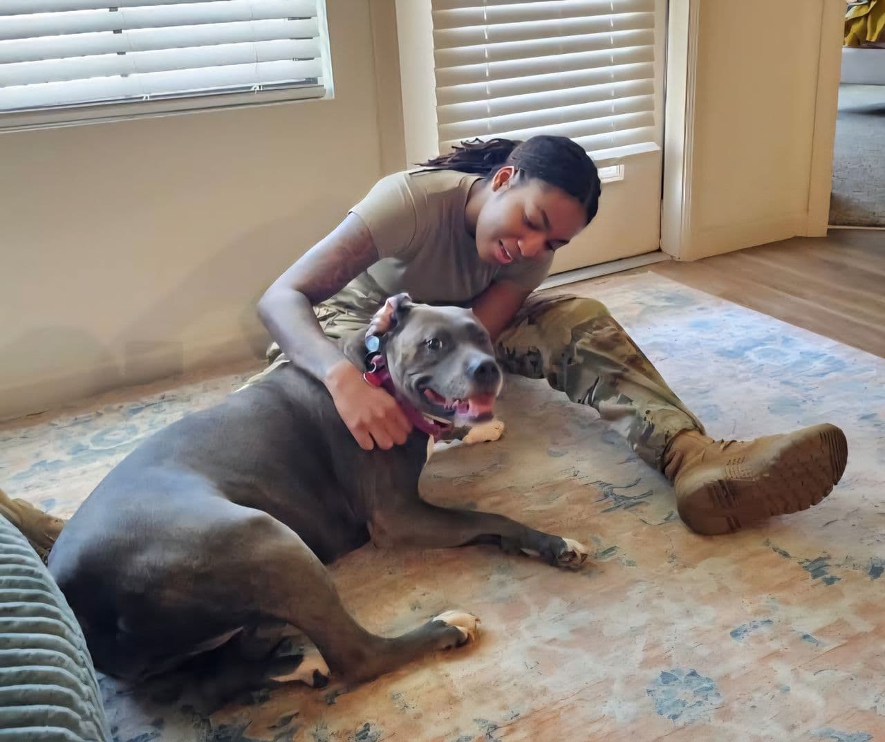 Pet travel photo 3
