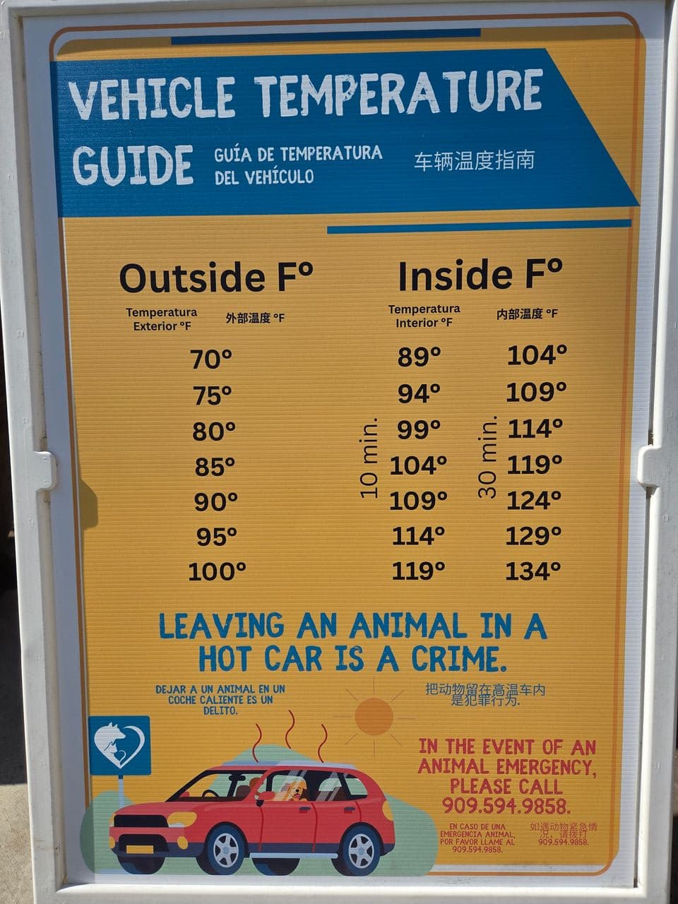 Pet travel photo 1