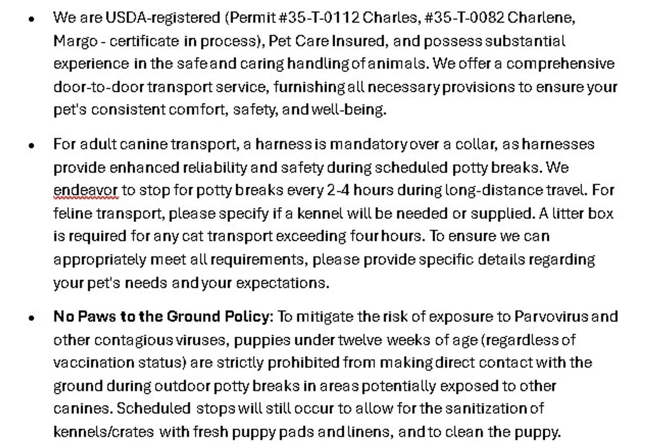 Pet travel photo 4