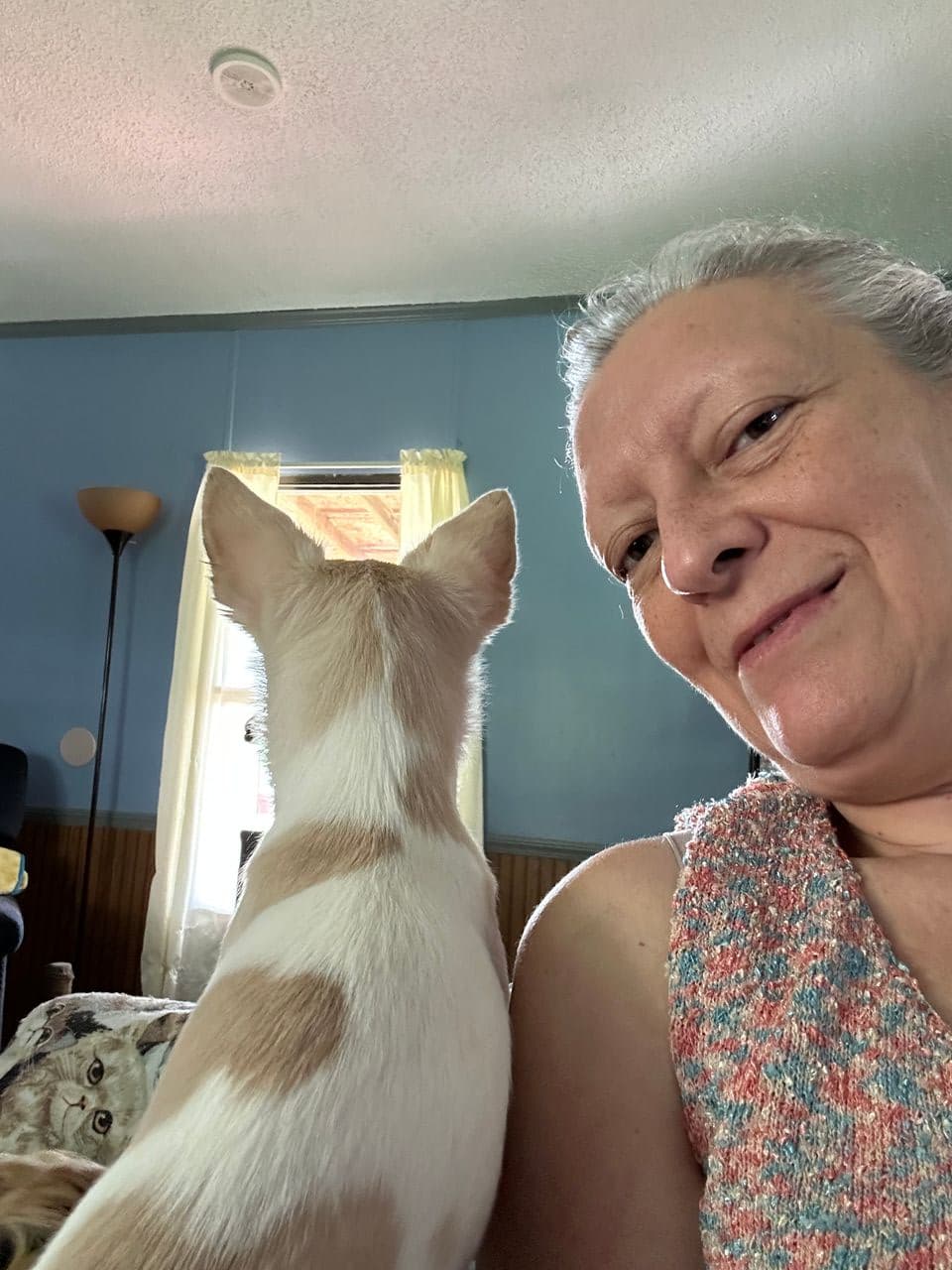 Pet travel photo 4