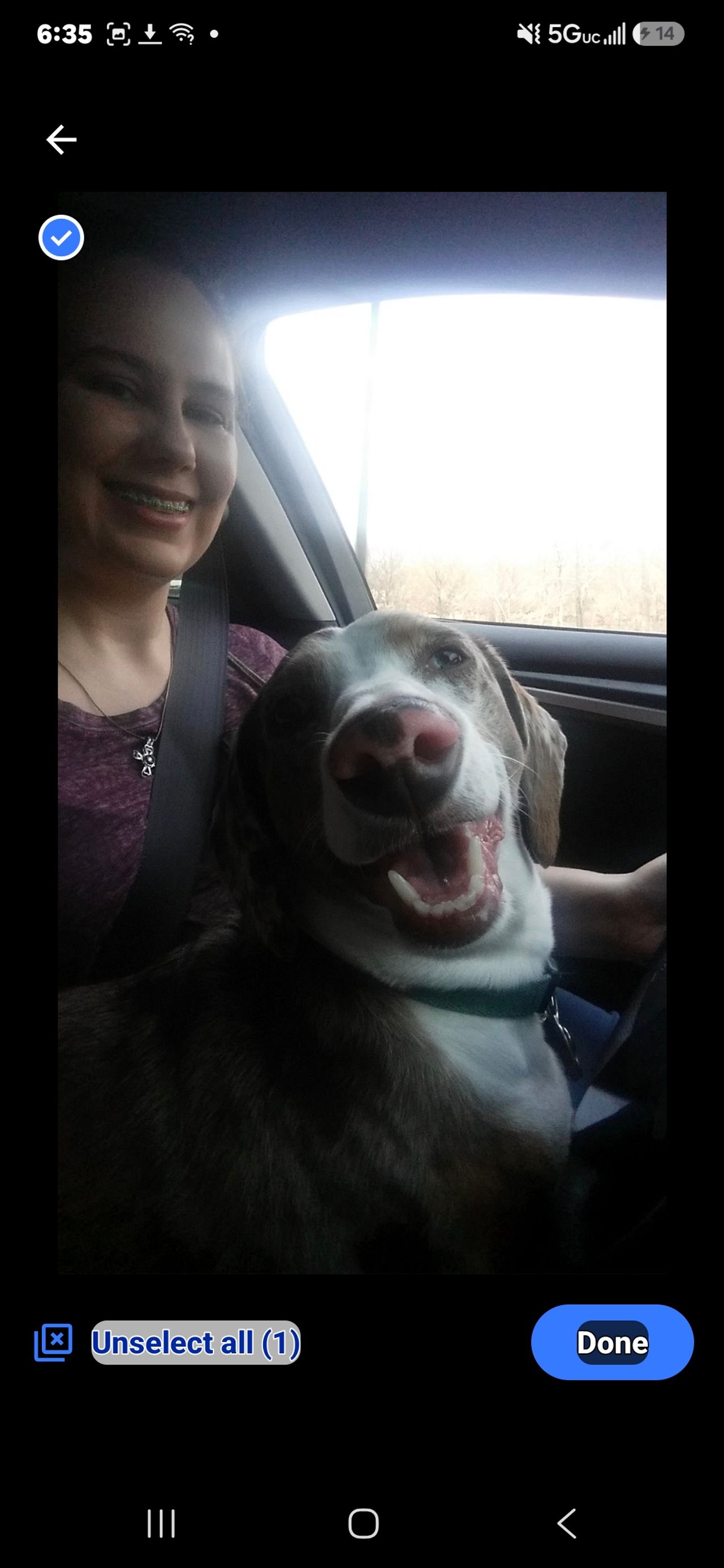 Pet travel photo 2