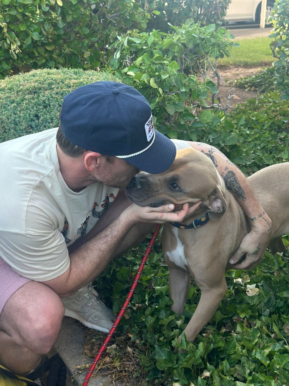 Pet travel photo 2