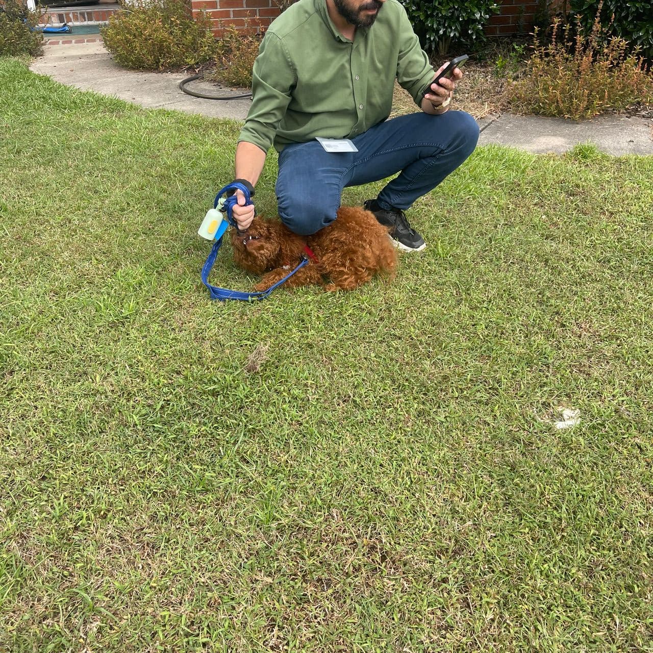 Pet travel photo 1
