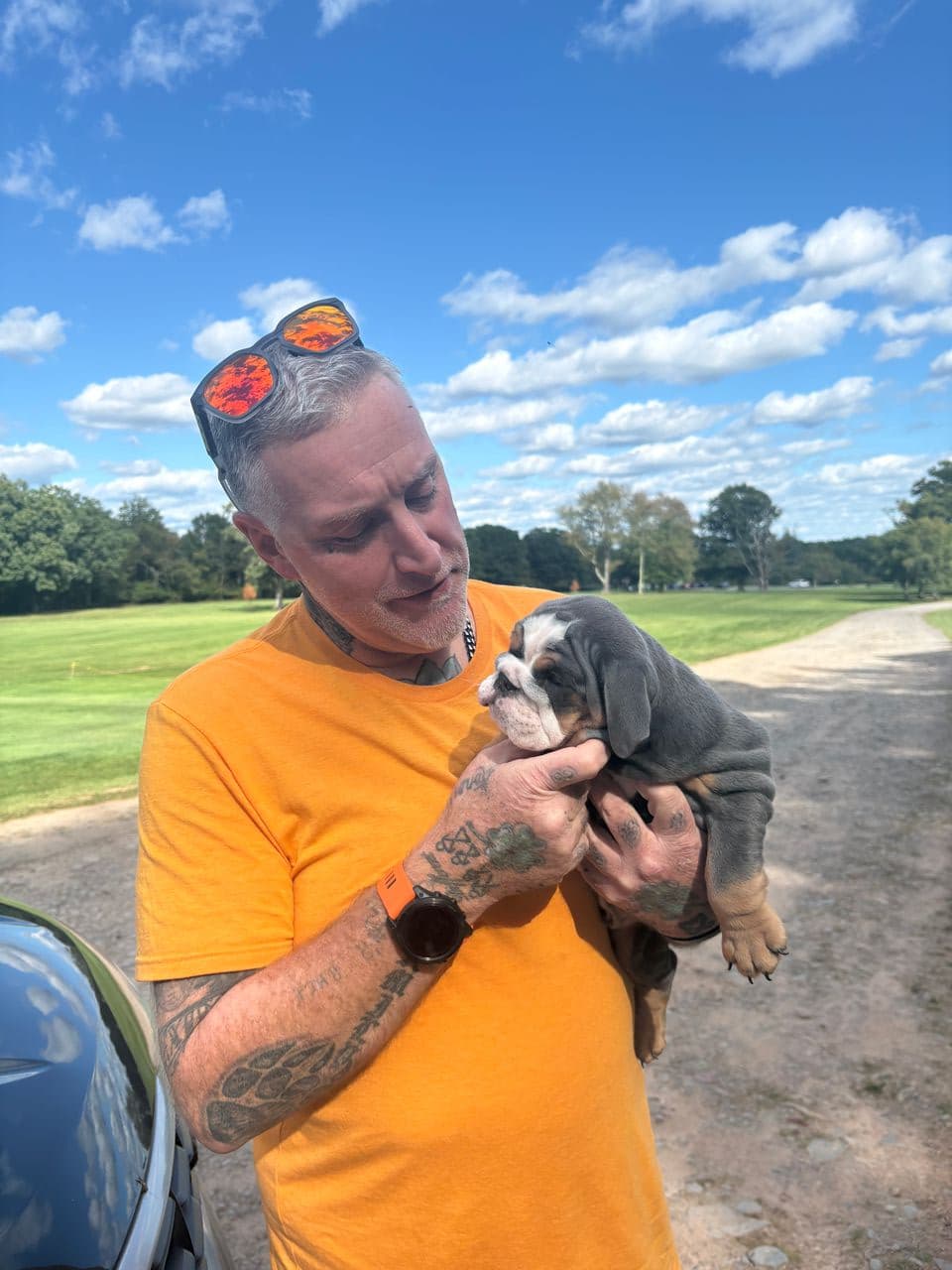Pet travel photo 5