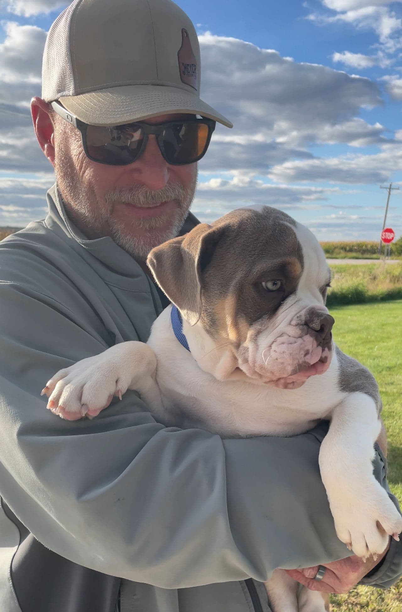 Pet travel photo 1