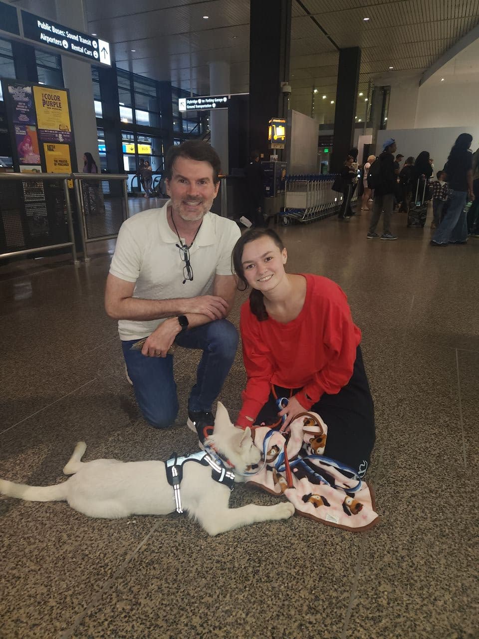Pet travel photo 1