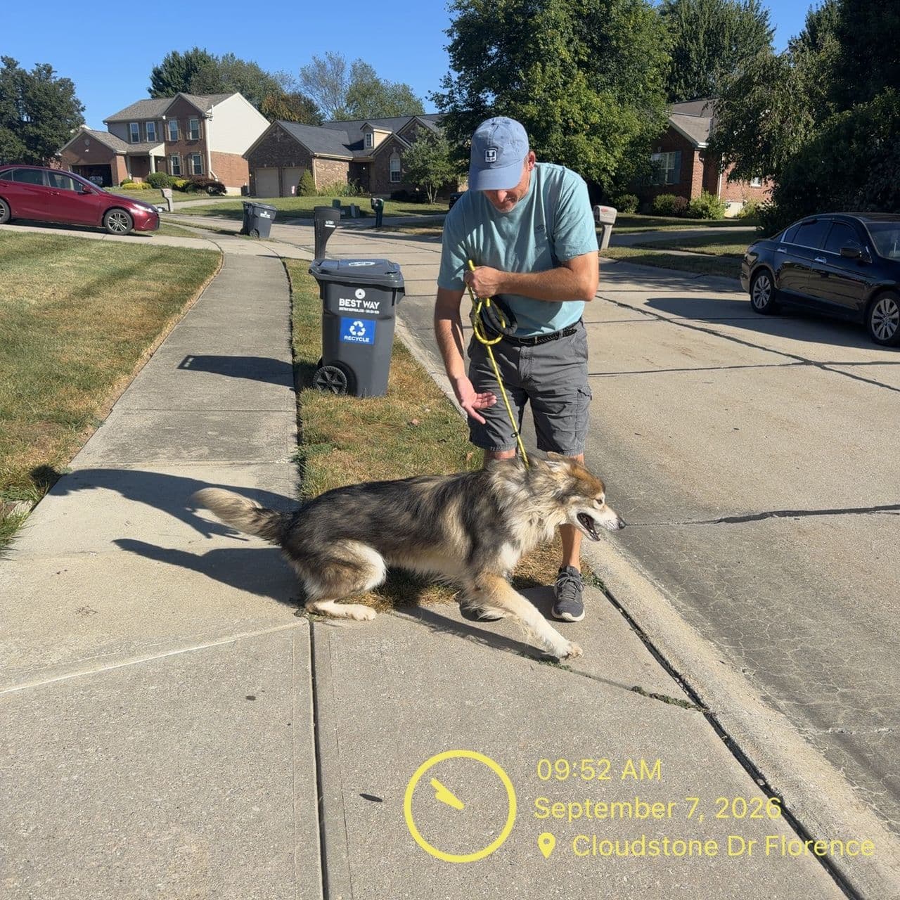 Pet travel photo 2