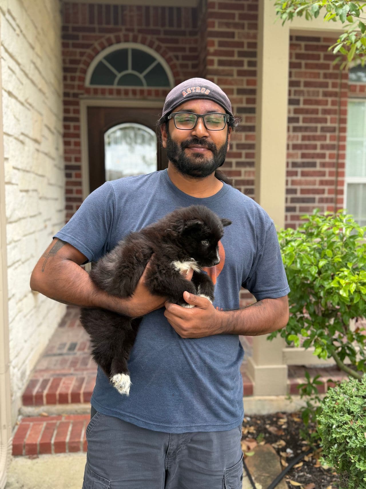 Pet travel photo 2