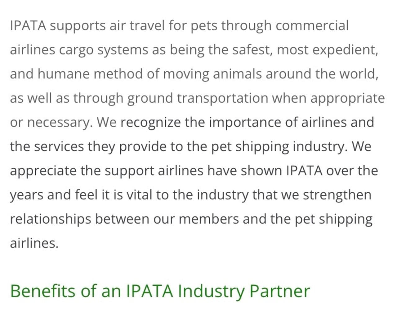 Pet travel photo 1