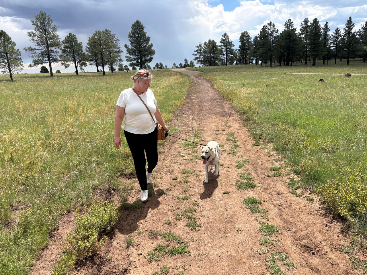 Pet travel photo 1