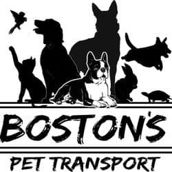 Boston's Pet Transport