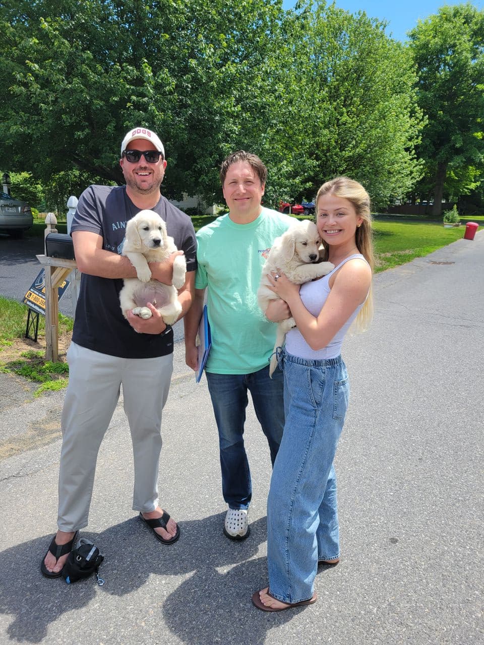 Pet travel photo 1