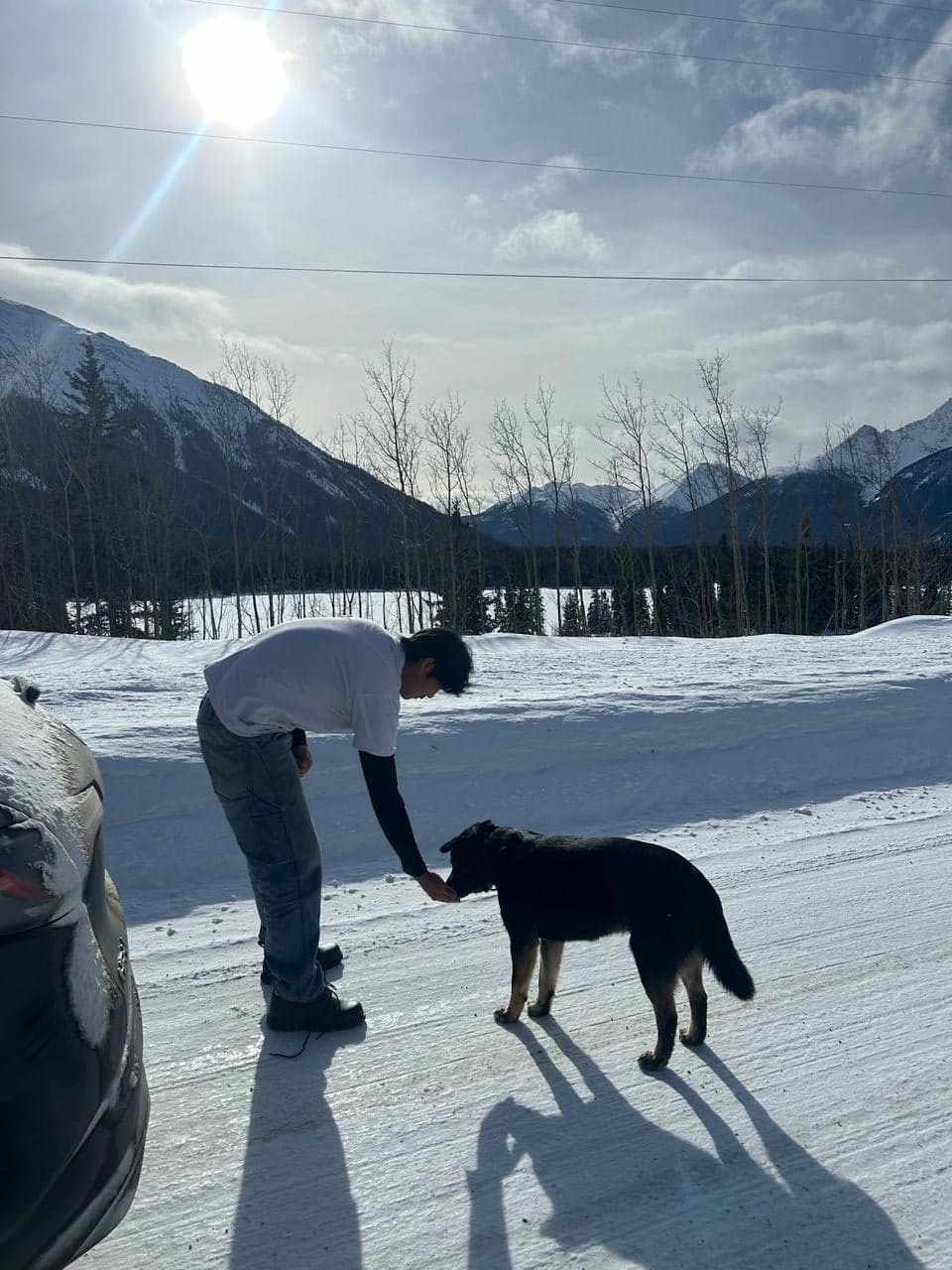 Pet travel photo 2